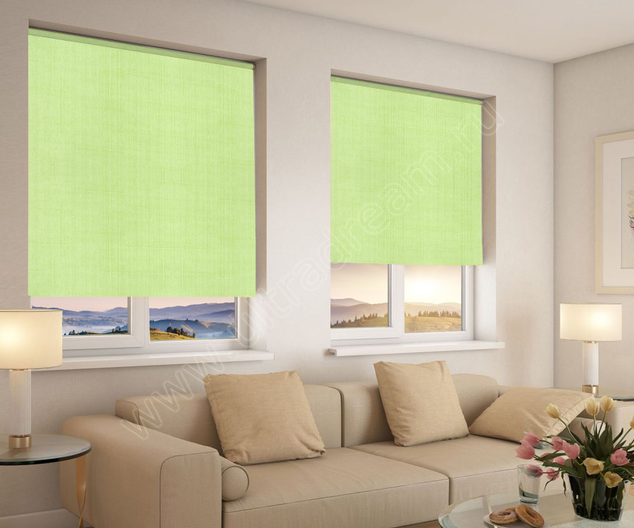 Светло-зелёные рулонные шторы установленные в проём окна стильно смотрятся