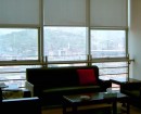 Панорамные окна украшают рулонные шторы, которые хорошо вписываются в интерьер офиса